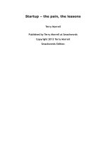 Startup – the pain, the lessons ppt