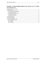 HOẠCH ĐỊNH CHIẾN lược TOÀN cầu của CÔNG TY đa QUỐC GIA