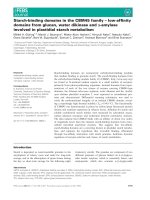 Báo cáo khoa học: Starch-binding domains in the CBM45 family – low-afﬁnity domains from glucan, water dikinase and a-amylase involved in plastidial starch metabolism pptx
