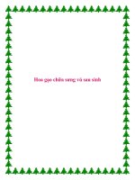 Hoa gạo chữa sưng vú sau sinh pot