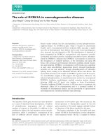 Báo cáo khoa học: The role of DYRK1A in neurodegenerative diseases docx