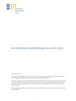 EIF CORPORATE OPERATIONAL PLAN 2011-2013 docx