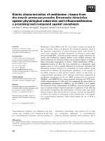 Báo cáo khoa học: Kinetic characterization of methionine c-lyases from the enteric protozoan parasite Entamoeba histolytica against physiological substrates and triﬂuoromethionine, a promising lead compound against amoebiasis ppt