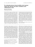 Báo cáo khoa học: The relationship between thermal stability and pH optimum studied with wild-type and mutant Trichoderma reesei cellobiohydrolase Cel7A ppt