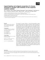 Báo cáo khoa học: Ligand binding and antigenic properties of a human neonatal Fc receptor with mutation of two unpaired cysteine residues docx