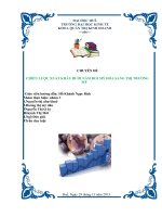 chiến lược xuất khẩu bưởi năm roi mỹ hòa sang thị trường mỹ