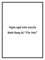 Ngôn ngữ trên truyền hình đang bị “Tây hóa