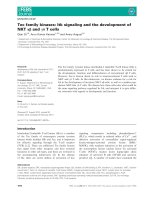Báo cáo khoa học: Tec family kinases: Itk signaling and the development of NKT ab and cd T cells potx
