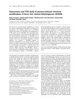 Báo cáo khoa học: Fluorescence and FTIR study of pressure-induced structural modiﬁcations of horse liver alcohol dehydrogenase (HLADH) potx