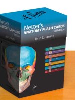 Netter's Anatomy Flash Cards: with Online Student Consult Access