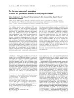 Báo cáo khoa học: On the mechanism of a-amylase Acarbose and cyclodextrin inhibition of barley amylase isozymes pdf