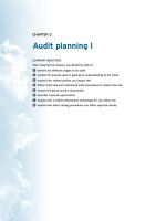 AUDITING AND ASSURANCE STANDARDS pptx