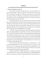 CHẤT LƯỢNG CUỘC SỐNG DÂN CƯ TỈNH THANH HÓA  -  LUẬN VĂN THẠC SĨ KHOA HỌC ĐỊA LÍ