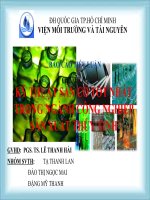 KỸ THUẬT SẴN CÓ TỐT NHẤT TRONG NGÀNH CÔNG NGHIỆP SẢN XUẤT THỦY TINH