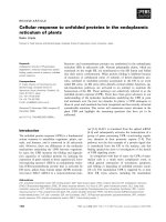 Báo cáo khoa học: Cellular response to unfolded proteins in the endoplasmic reticulum of plants pptx