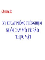 Chương 2: KỸ THUẬT PHÒNG THÍ NGHIỆM NUÔI CẤY MÔ TẾ BÀO THỰC VẬT doc