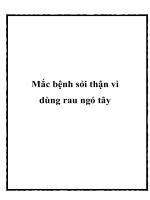 Mắc bệnh sỏi thận vì dùng rau ngó tây pptx