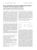 Báo cáo khoa học: Role of Acinetobacter calcoaceticus 3,4-dihydrocoumarin hydrolase in oxidative stress defence against peroxoacids Kohsuke Honda, Michihiko Kataoka, Eiji Sakuradani and Sakayu Shimizu doc