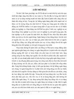 Một số giải pháp nhằm tăng cường khả năng huy động vốn trung và dài hạn tại ngân hàng đầu tư và phát triển Hà Tĩnh