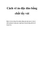 Cách vẽ áo độc đáo bằng chất tẩy vải pdf