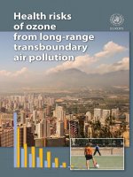 Health risks of ozone from long-range transboundary air pollution pdf
