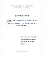 tiểu luận phân tích báo cáo tài chính công ty cổ phần xuất nhập khẩu y tế domesco (dmc)