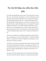 Nợ xấu bất động sản, niềm đau chôn giấu pptx