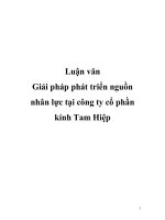 Luận văn Giải pháp phát triển nguồn nhân lực tại công ty cổ phần kính Tam Hiệp potx