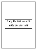 Xử lý khí thải từ các lò thiêu đốt chất thải potx