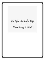 Tư liệu văn hiến Việt Nam đang ở đâu? pot