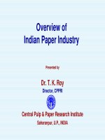 Overview of Indian Paper Industry docx