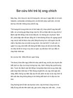 Sơ cứu khi trẻ bị ong chích pptx