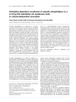 Báo cáo khóa học: Stimulation-dependent recruitment of cytosolic phospholipase A2-a to EA.hy.926 endothelial cell membranes leads to calcium-independent association pdf