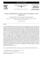 Arsenic immobilization by calcium arsenic precipitates in lime treated soils