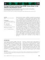 Báo cáo khoa học: A single EF-hand isolated from STIM1 forms dimer in the absence and presence of Ca2+ ppt