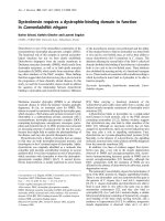 Báo cáo Y học: Dystrobrevin requires a dystrophin-binding domain to function in Caenorhabditis elegans doc
