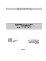 Công nghệ sinh học phân tử - xét nghiệm phân tử