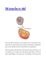 Di truyền ty thể potx