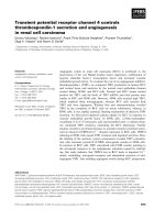 Báo cáo khoa học: Transient potential receptor channel 4 controls thrombospondin-1 secretion and angiogenesis in renal cell carcinoma ppt
