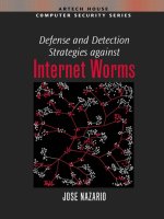 defense & detection strategies against internet worms