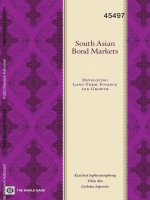 South Asian Bond Markets pdf