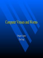 Viruses viruses either enter or inject their DNA RNA