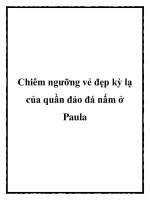Chiêm ngưỡng vẻ đẹp kỳ lạ của quần đảo đá nấm ở Paula pdf