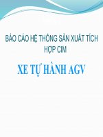 BÁO CÁO HỆ THỐNG SẢN XUẤT TÍCH HỢP CIM - XE TỰ HÀNH AGV pot