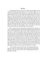 Quản trị thương mại- Hành vi người tiêu dùng
