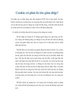 Cookie có phải là tên gián điệp? pptx