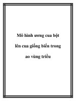 Mô hình ương cua bột lên cua giống biển trong ao vùng triều potx