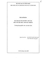 Bảo hộ quyền sở hữa trí tuệ đối với tri thức truyền thống pptx