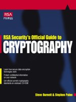 rsa security's official guide to cryptography