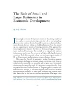The Role of Small and Large Businesses in Economic Development doc